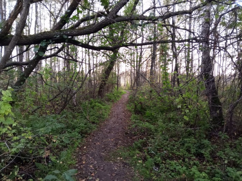 Болотный переулок Болотный переулок